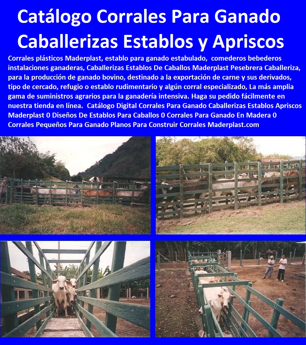 Catálogo 39 Corrales Para Ganado Caballerizas Establos Apriscos Maderplast 0 Diseño De Corrales Para Ganado Bovino 0 Aprisco Corrales Caprinos 0 Tipos De Corrales Para Ganado Lechero 0 Carral De Establos Lecheros 0 Manga Ganadera 0 Catálogo 39 Corrales Para Ganado Caballerizas Establos Apriscos Maderplast 0 Diseño De Corrales Para Ganado Bovino 0 Aprisco Corrales Caprinos 0 Tipos De Corrales Para Ganado Lechero 0 Carral De Establos Lecheros 0 Manga Ganadera 0